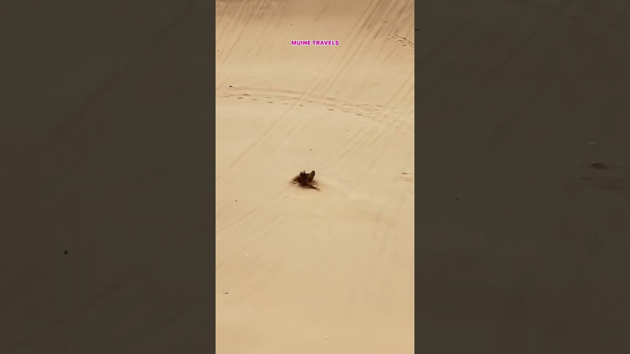 📌 Top 5 Must-Visit Places in Mui Ne, Vietnam