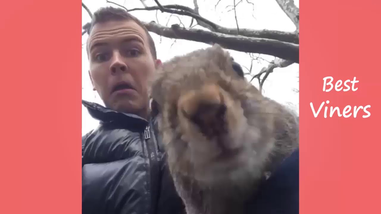 JEROME JARRE Squirrel Vine compilation - Best Viners