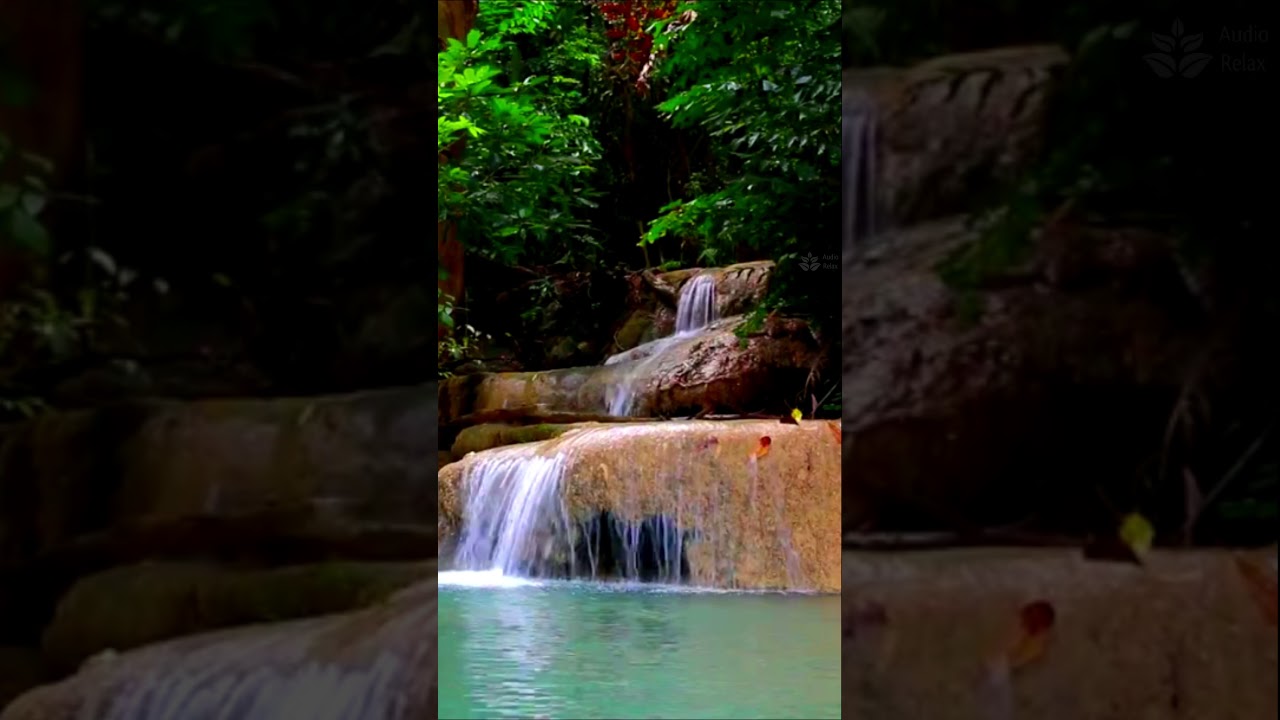 Jungle waterfall. Thailand. Full 10hours video already on our YouTube channel #audiorelax #waterfall