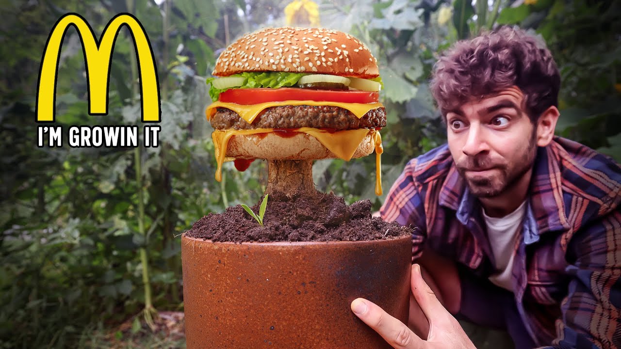 I grew a Mcdonalds #2 meal