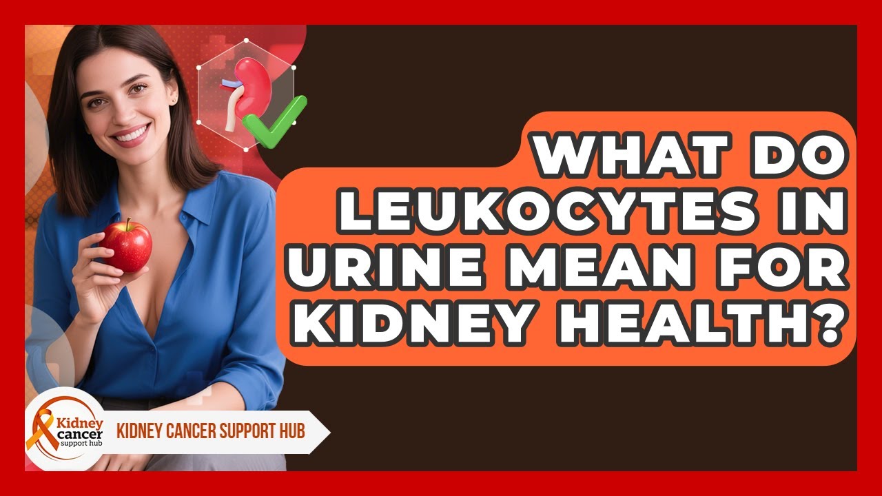What Do Leukocytes In Urine Mean For Kidney Health? - Kidney Cancer Support Hub