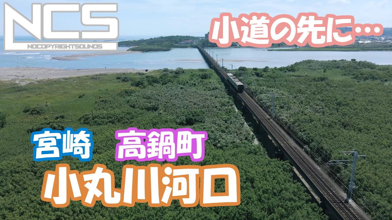 空撮　高鍋町　小丸川河口　その道の先には・・・