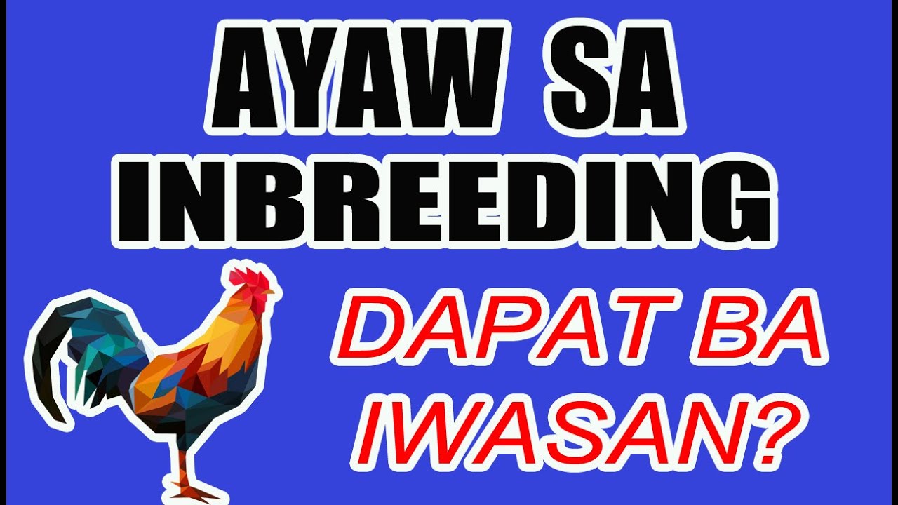 DAPAT BA IWASAN ANG INBREEDING?