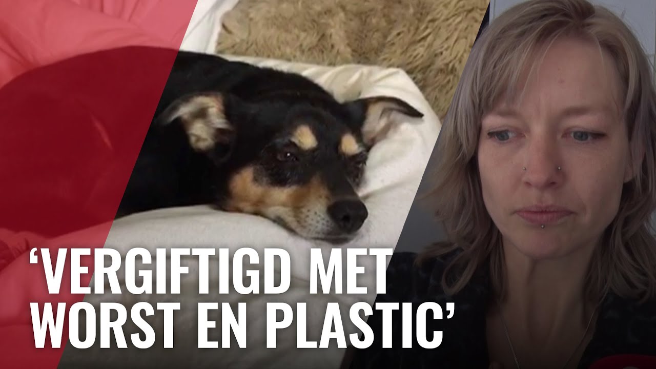 Tessa's honden mogelijk vergiftigd bij Erasmuspark