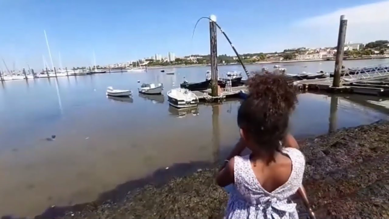 Pescar tainhas na Foz do Douro