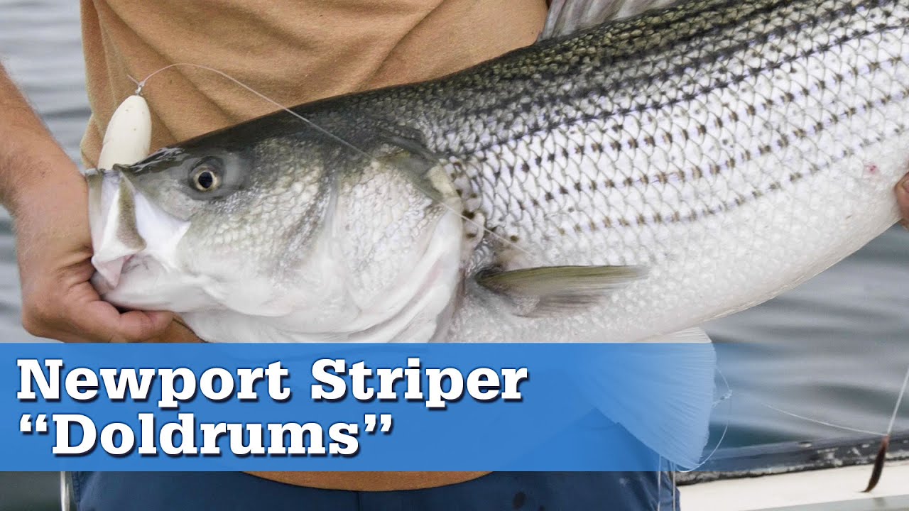 Topwater and Trolling for Late-Summer Stripers off Newport, RI | S17 E02