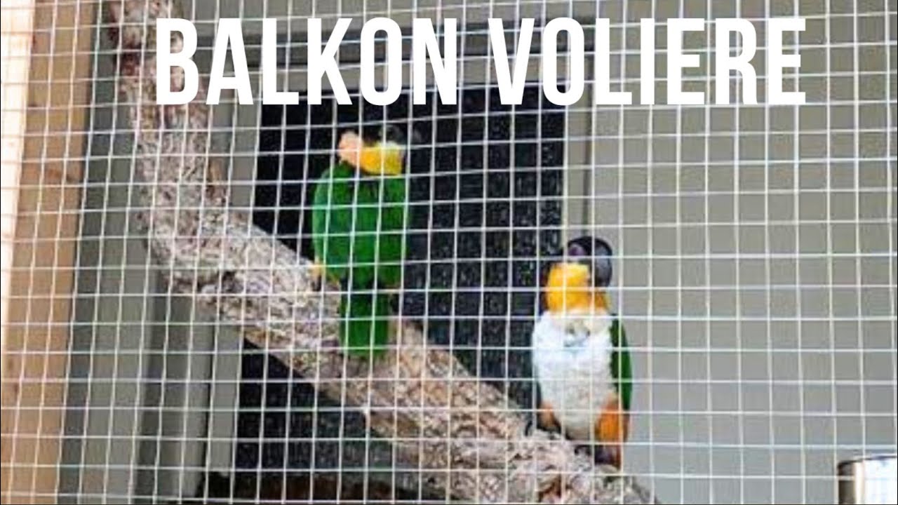 Balkon Voliere selbst gebaut