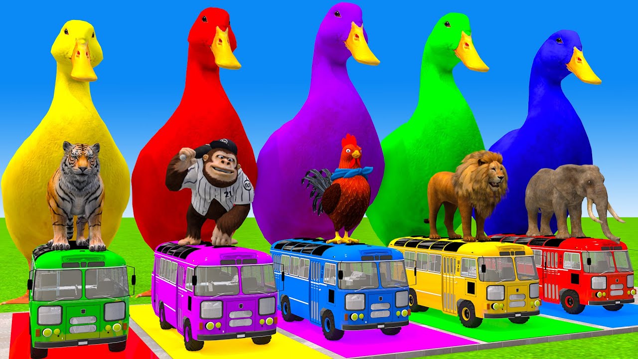 5 Giant Duck Cartoon,Cow,Mammoth,Dog,T-Rex,Lion,Tiger Paint Wild Animals Crossing Fountain Animation