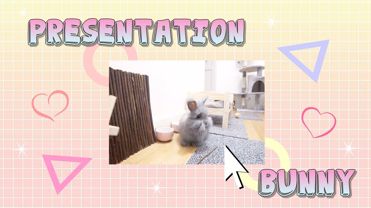 JE VOUS PRESENTE MON NOUVEAU LAPIN 🐰
