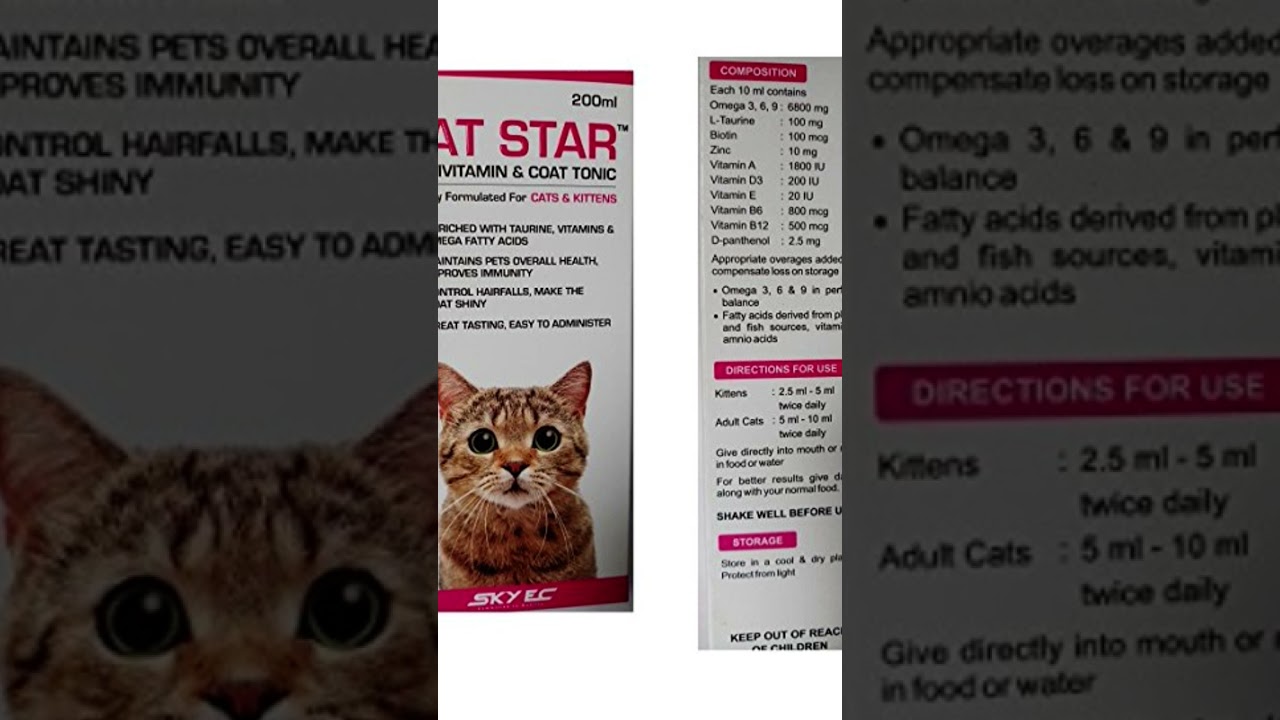 Cat के hair fall को कम करने की दवा || Cat star tonic used || Cat star multivitamin and coat tonic