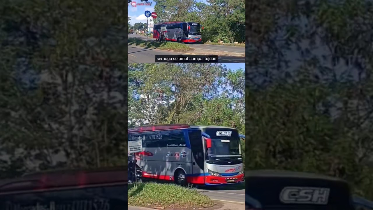 CSH88 Skyliner #csh88 #busmania #penyubalap