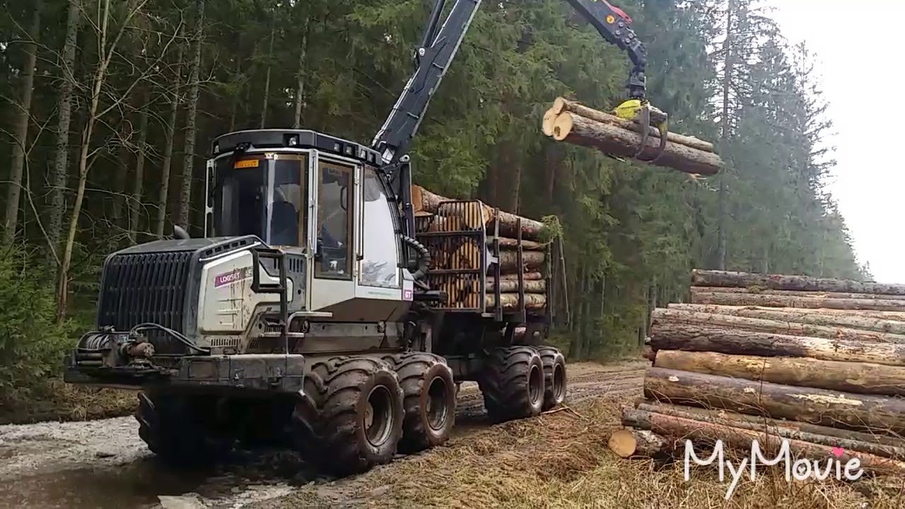 LOGSET 4F, nice forwarder in the nice forest.