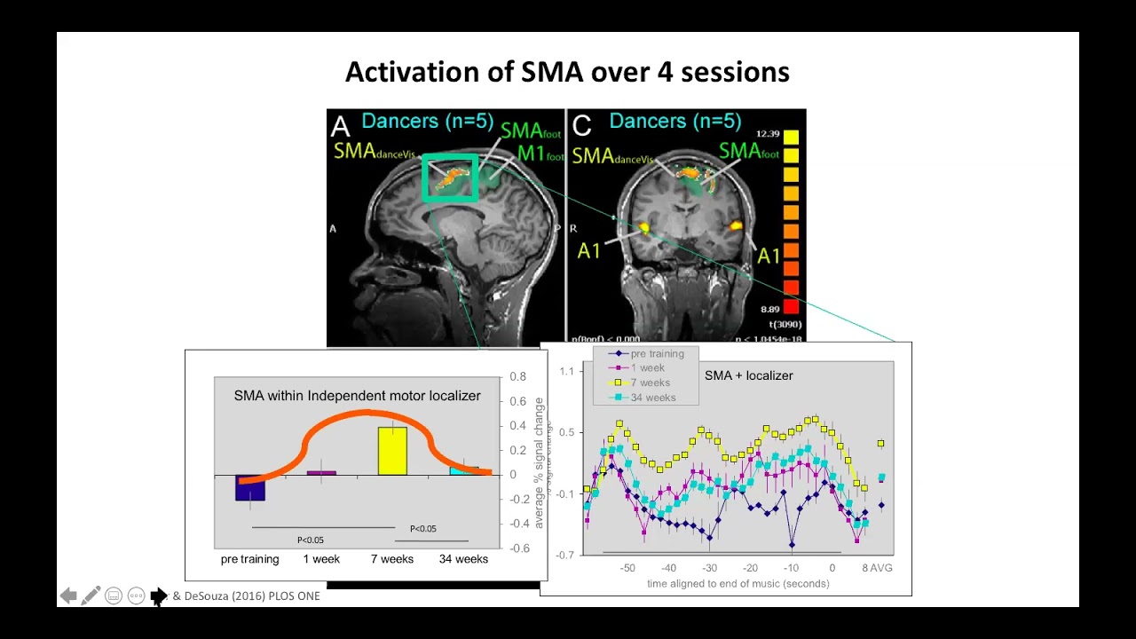 Educational Webinar: 