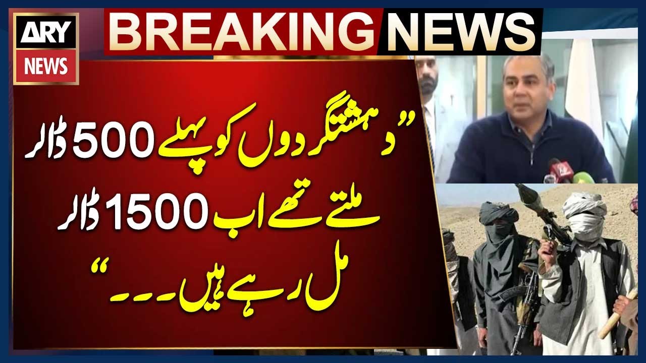 India funding terror attacks in Pakistan: Mohsin Naqvi