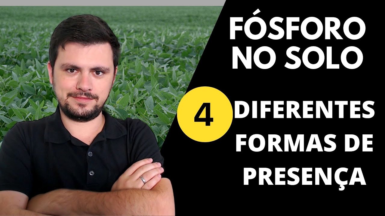 4 formas que o FÓSFORO está presente no SOLO