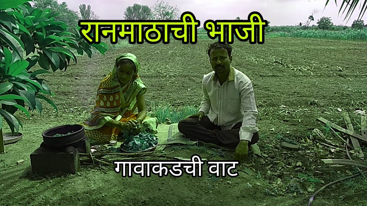 रानमाठा ची भाजी mathachi bhaji,गावाकडची वाट