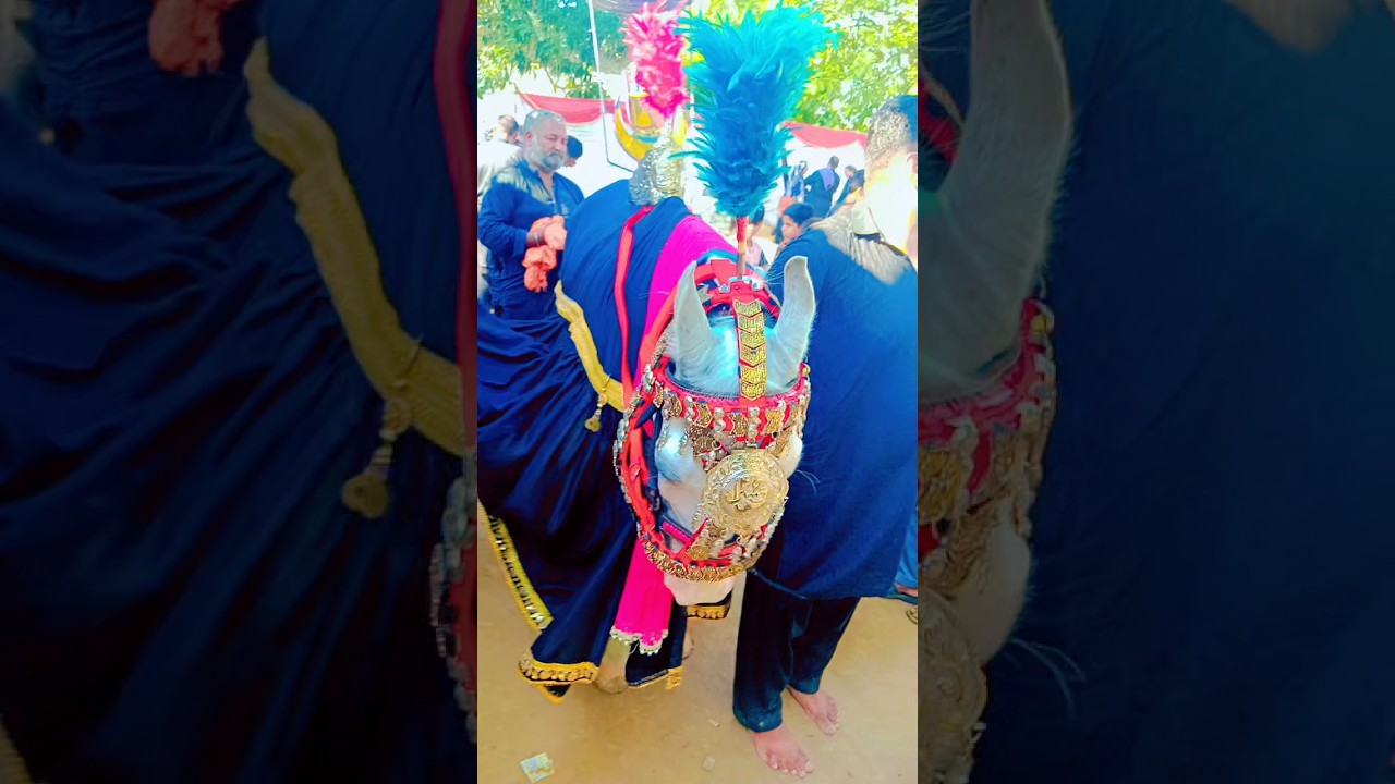 muj pe kun Band krta ho pani😭 #youtubeshorts #noha2023 #shortsbeta #shortsfeed #viral #foryou