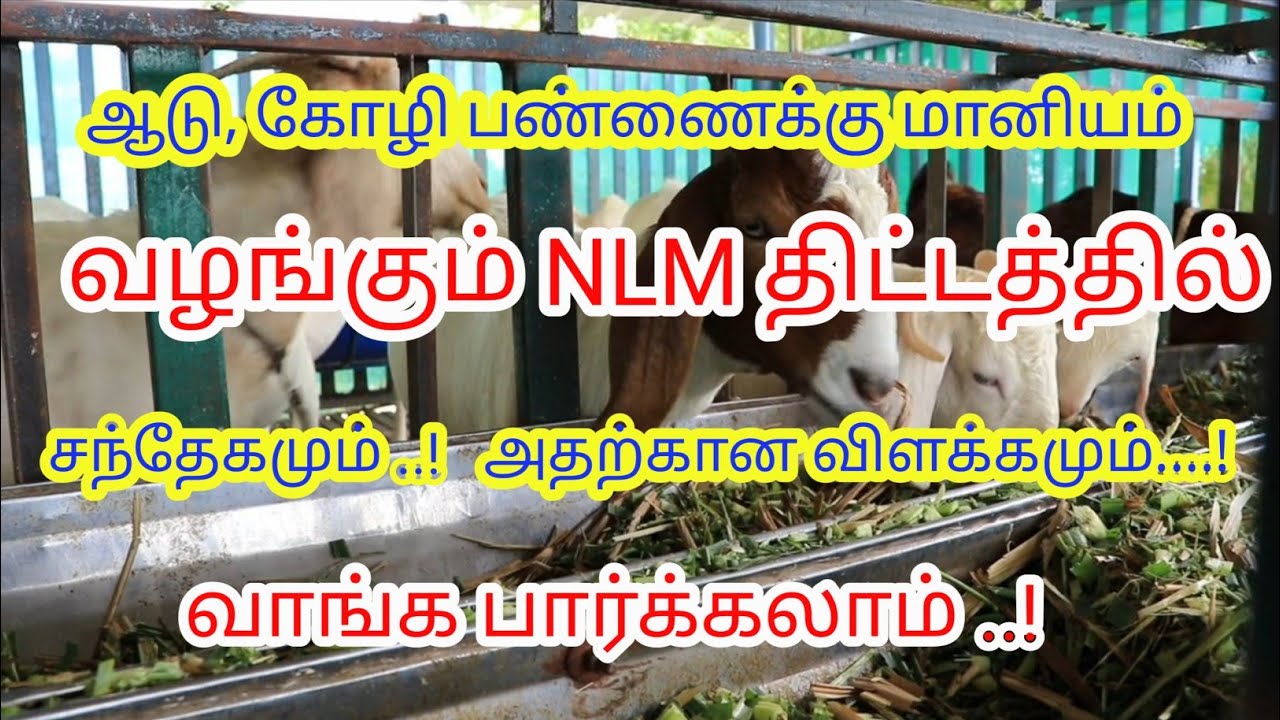 NLM திட்டத்தின் சந்தேகமும் அதற்கான விளக்கமும் @RED goat farm