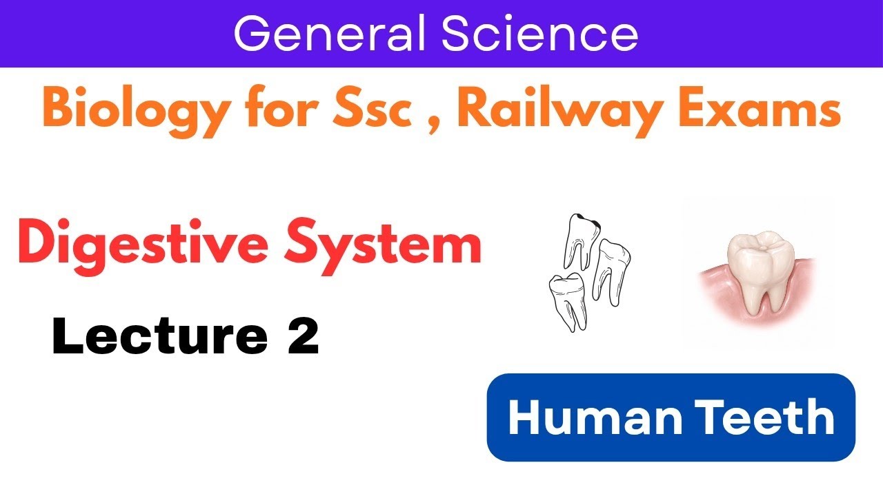 Digestive System | Teeth in Humans | दाँत के प्रकार और कार्य | Biology 