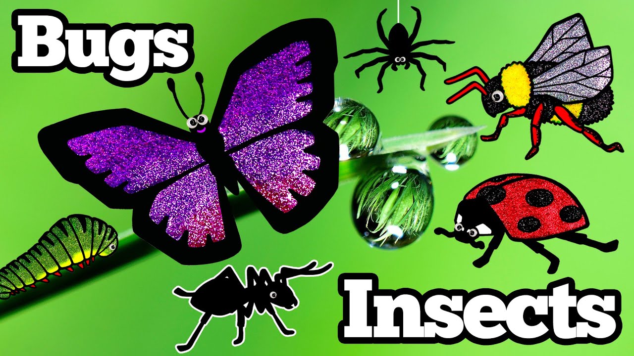 Let's Draw Bugs and Insects Together! | Drawing and Coloring with Glitter & Googly Eyes