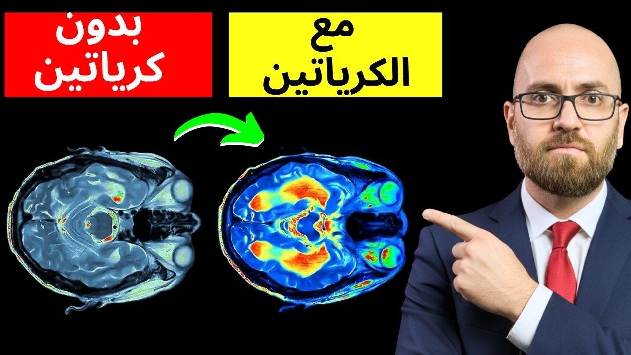 الكرياتين: التأثيرات الحقيقية على الدماغ والكلى والكتلة العضلية