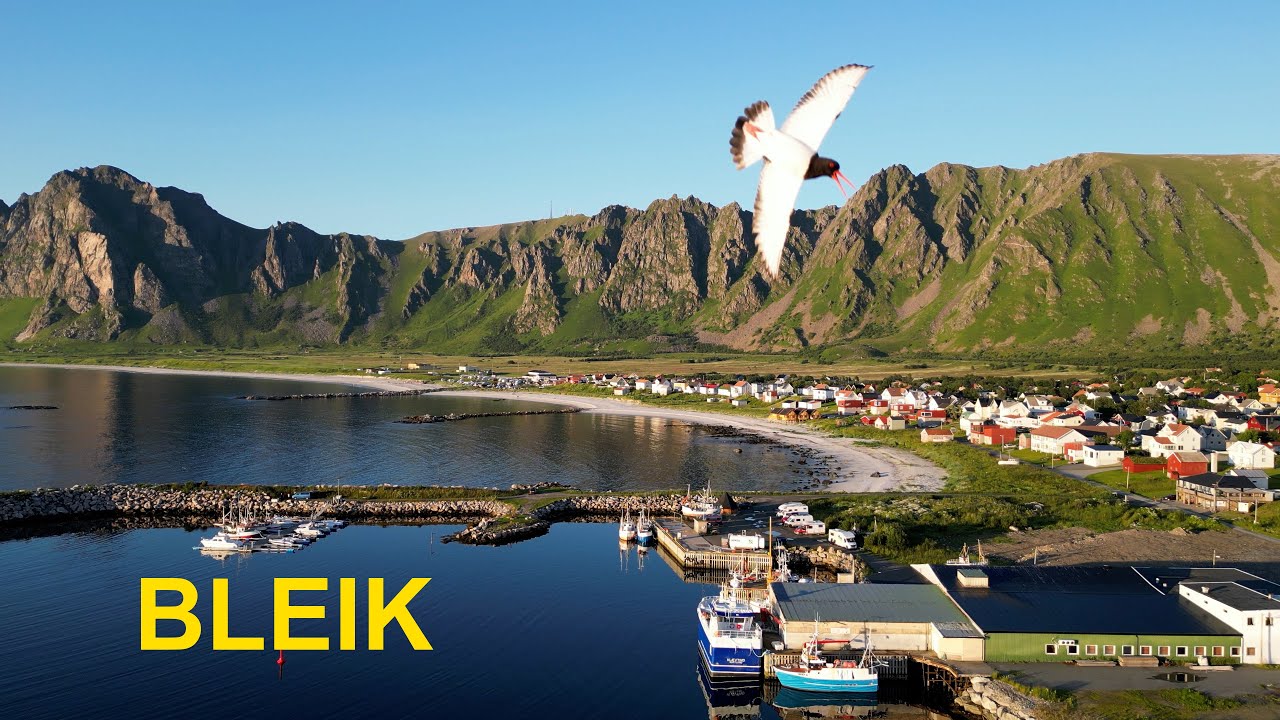 Bleik 2024