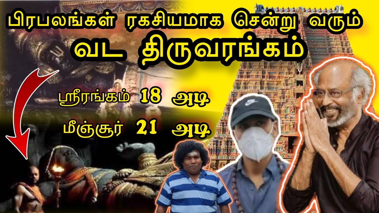 சாலிகிராம கல்லினால் செய்யப்பட்ட 21 அடி பெருமாள். மீஞ்சூர் ரங்கநாத பெருமாள் கோவில் #srirangam #minjur