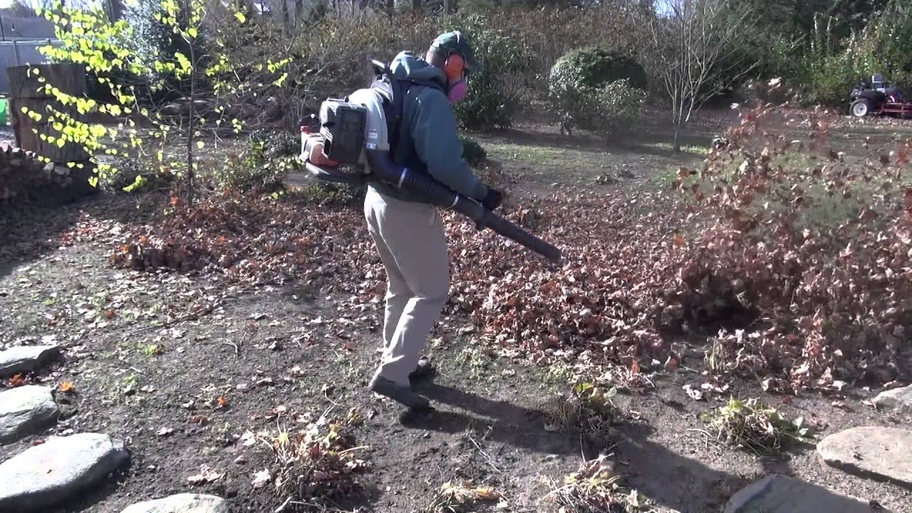 A Simple Tip for Fall Leaf Cleanup - Leaf Shredding