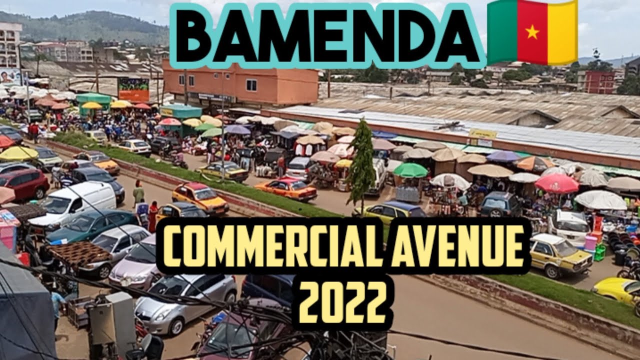 Коммерческий проспект БАМЕНДА 2022 🇨🇲