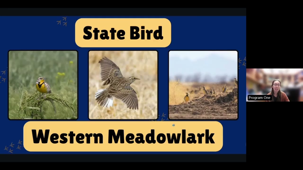 Kansas Symbols in Nature: Wildlife of the Sunflower State