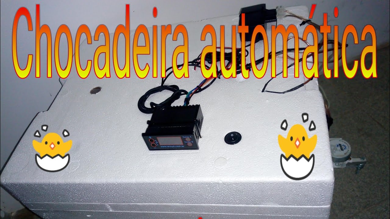 Como Fazer uma Chocadeira Automática