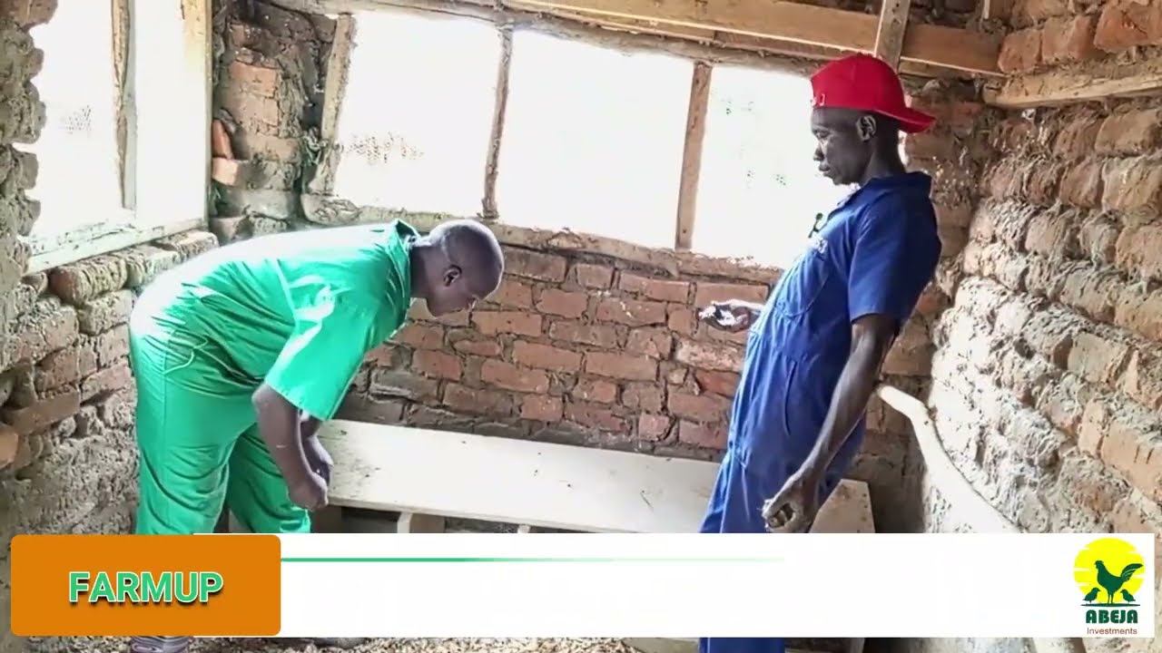 Step by Step: Things to consider when setting up a poultry house.Julius Echodu
