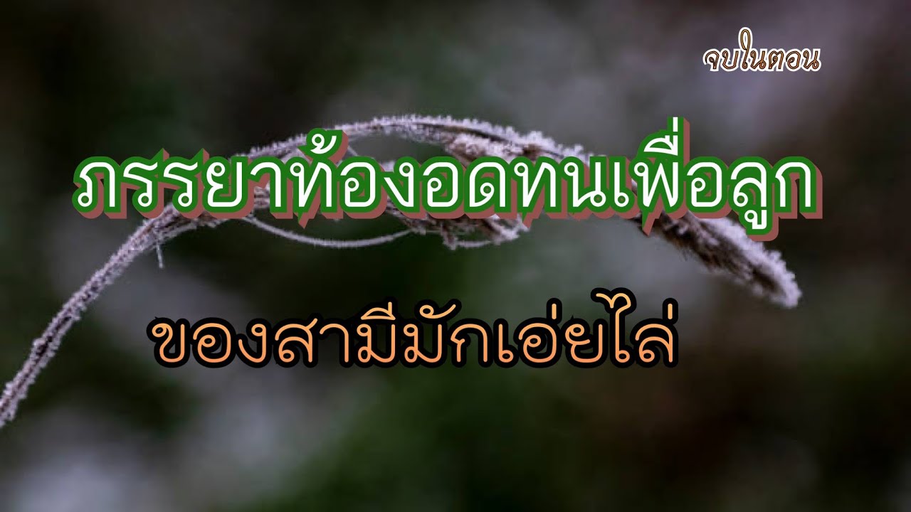 ภรรยาท้องอดทนเพื่อลูกของสามีมักเอ่ยไล่ นิยาย 21/12/66