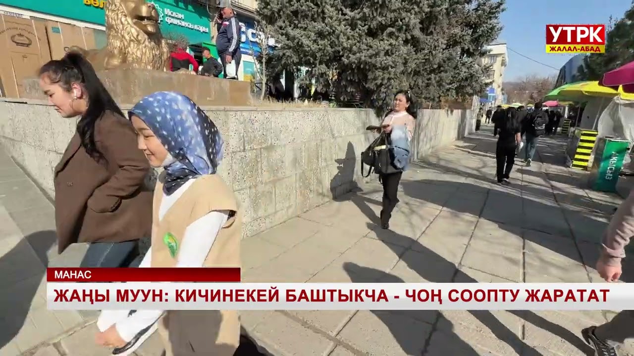 Жаңы муун: Кичинекей баштыкча - чоң соопту жаратат
