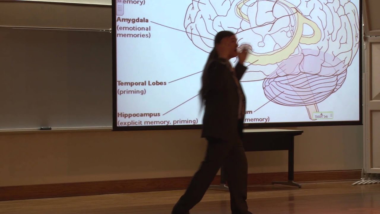 Memory: Hippocampus, Amygdala, and Consolidation Potentiation