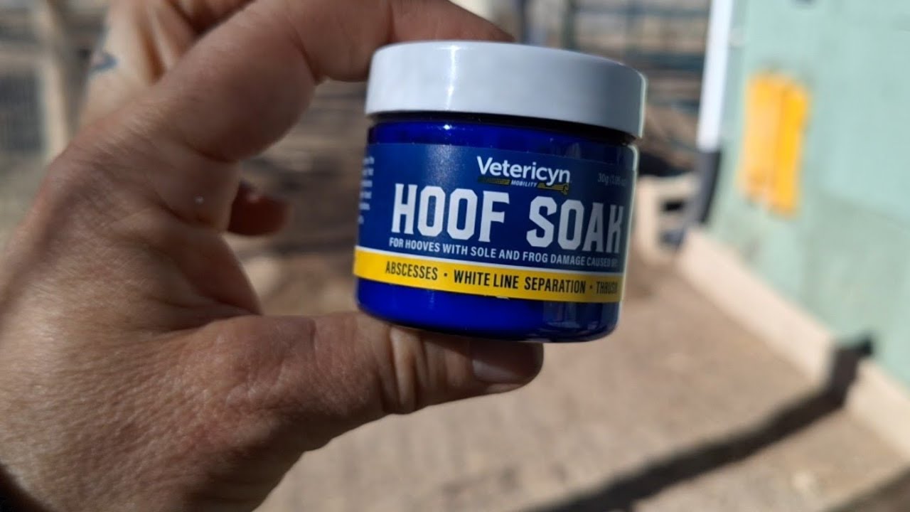Hoof Soak and Hoof Boot Review