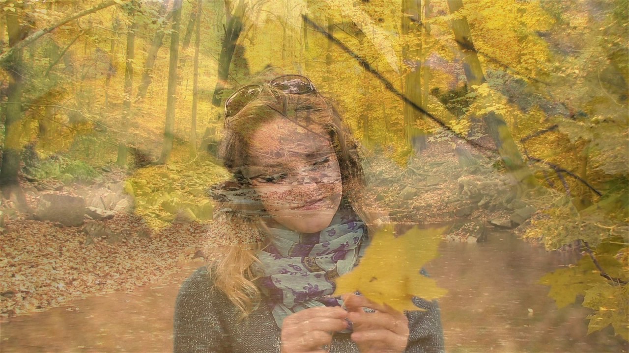 Code Indigo - Autumn Fades