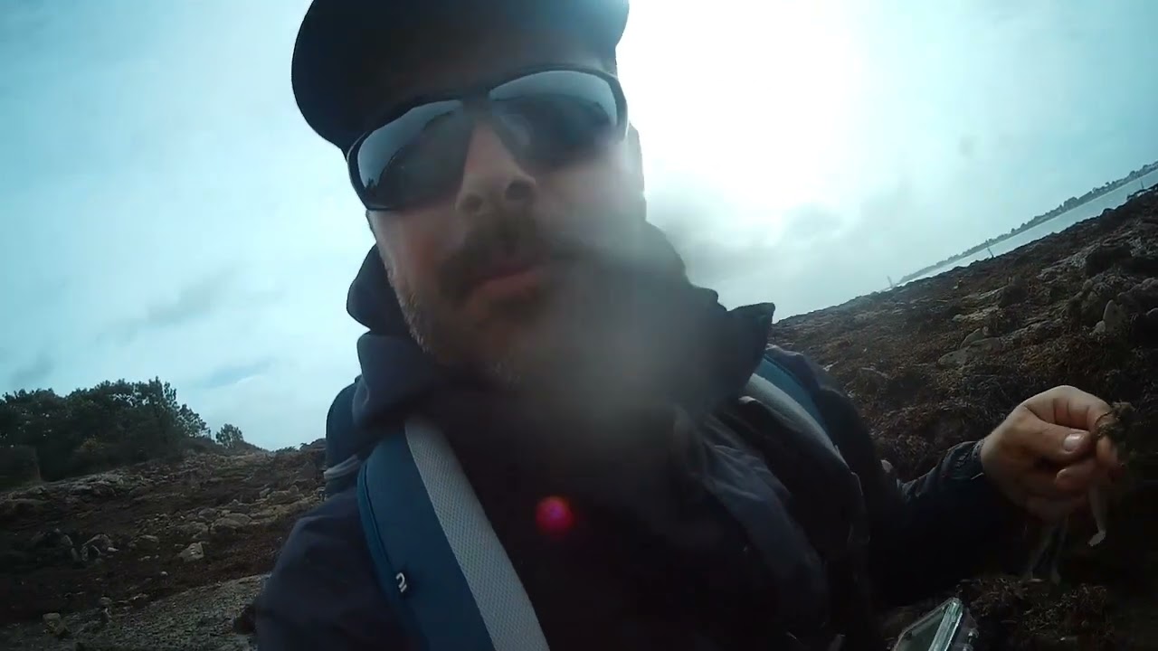 GROSSE SURPRISE LORS D'UNE SESSION PECHE DU BORD dans le Morbihan