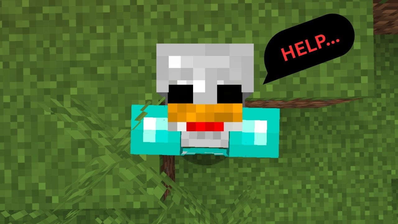 Building A Chicken Farm (Day 19) | Ryan3000 Challenge.