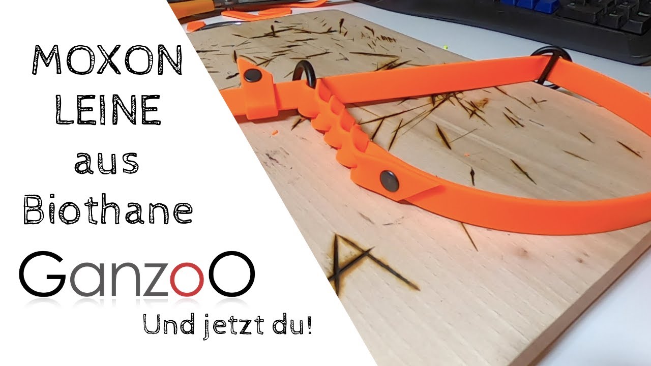 Moxonleine / Retrieverleine aus Biothane