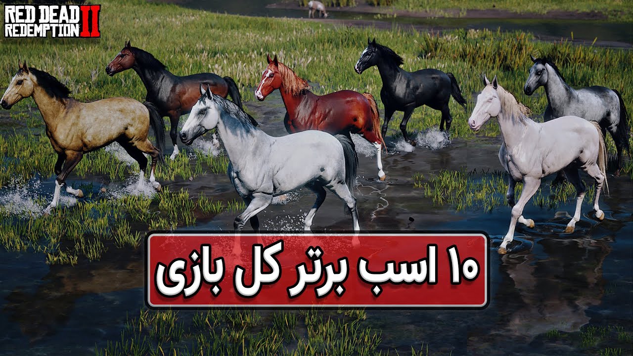 لیست بهترین اسب های بازی به همراه آموزش شیوه درست امتیازدهی در رد دد ردمپشن دو | RDR2: TOP 10 Horses