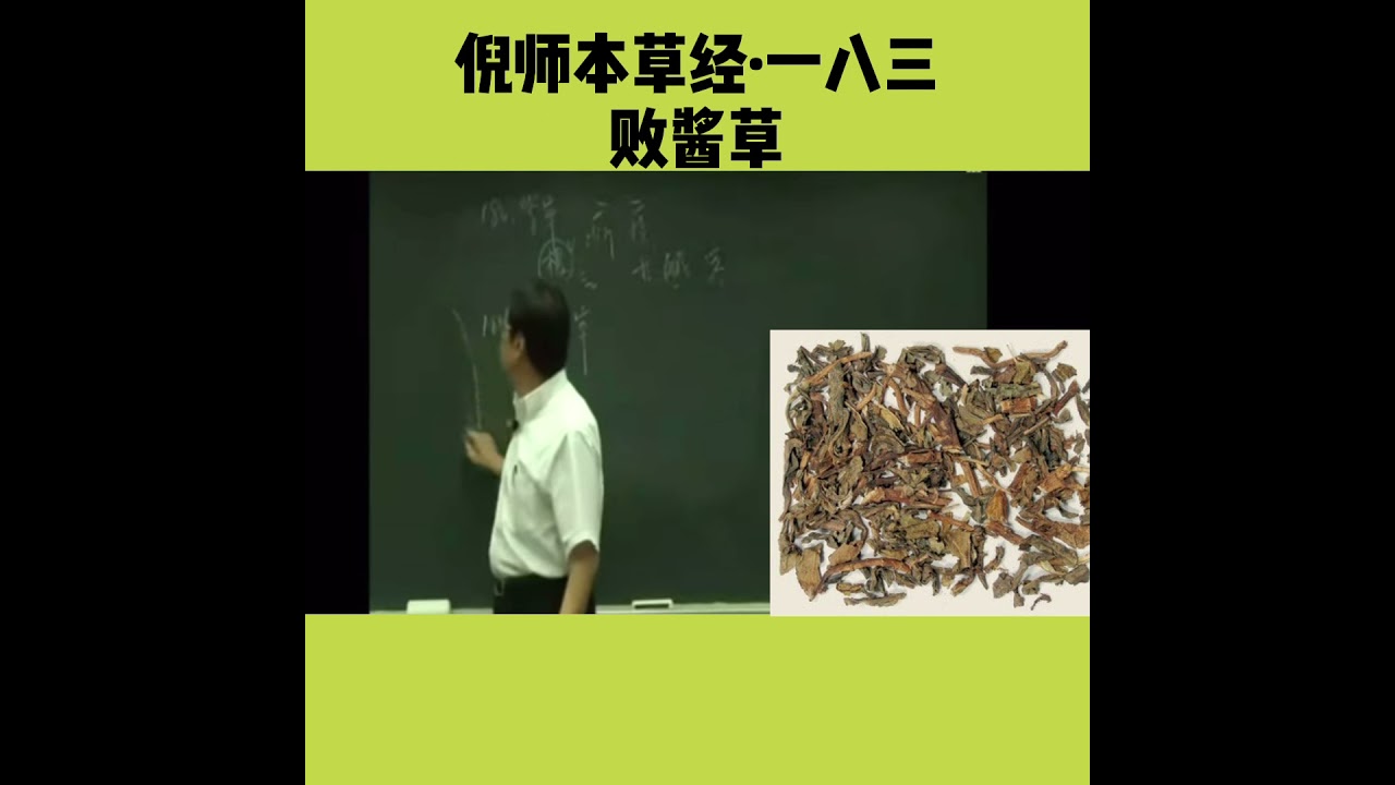 败酱草