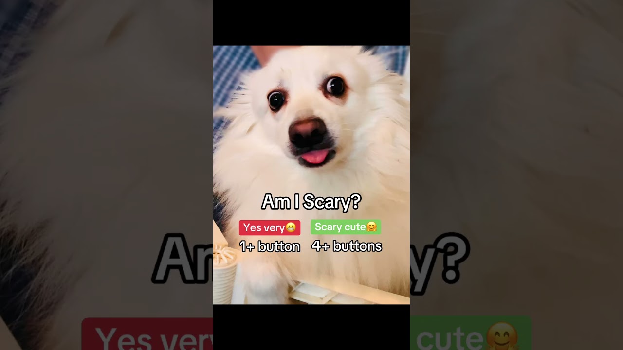 Double Tap to Reveal the &ldquo;Scary&rdquo; Dog&hellip; 😳🐶 (You Won&rsquo;t Expect This)