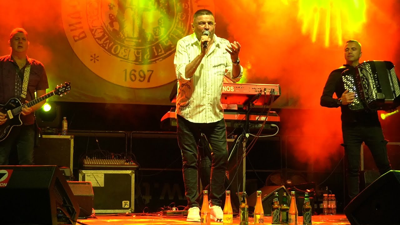Baja Mali Knindza - Koncert (Vidovdanski sabor u Vrdniku 2025)