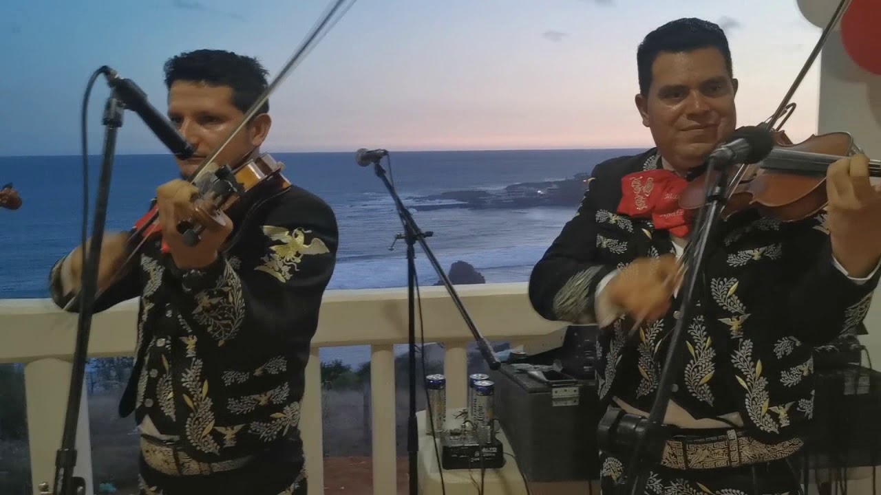 Pávido Návido / Son de la Negra - Mariachi Real Apatzingán