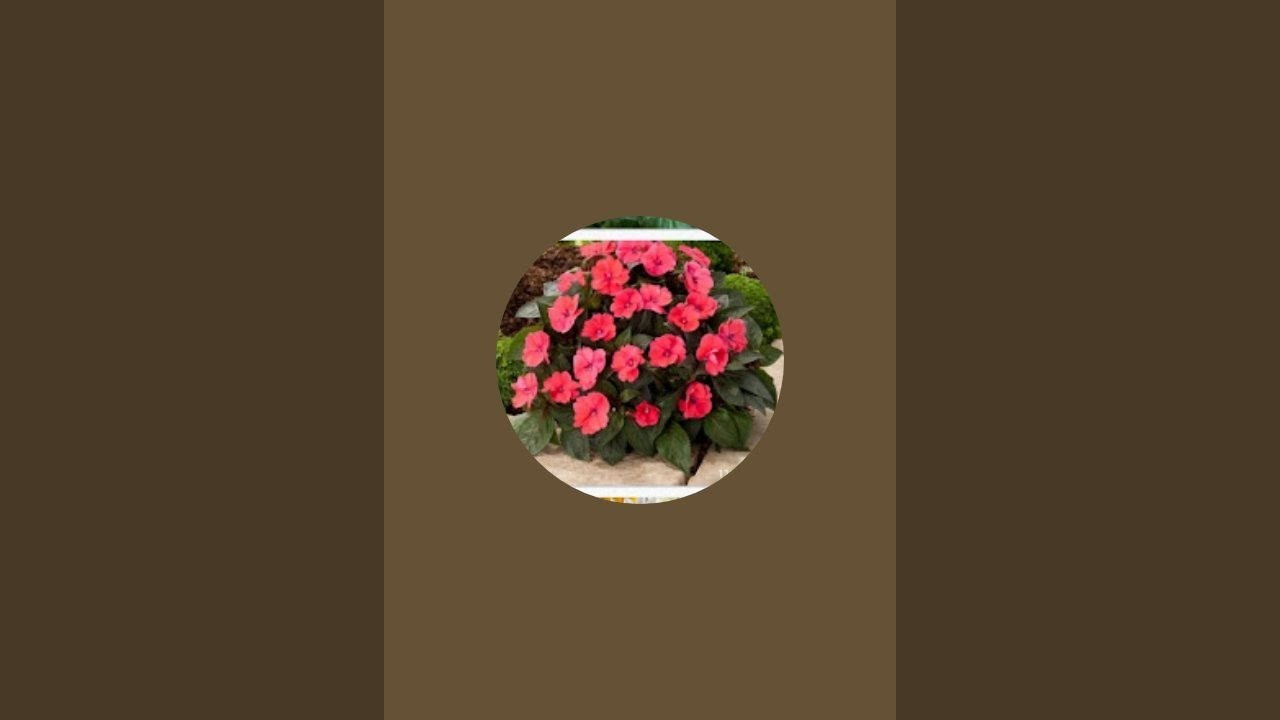 Nisha Terrace Garden  is live