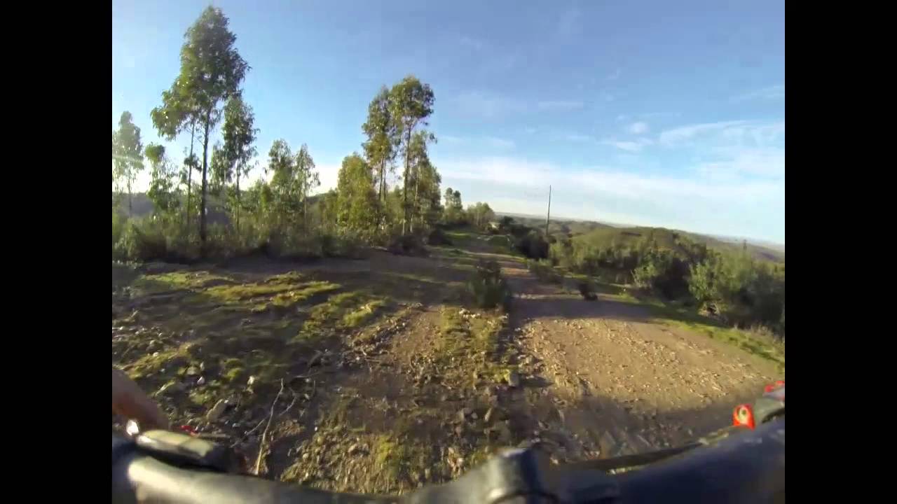 BTTtrigo 2015   2&ordm;parte