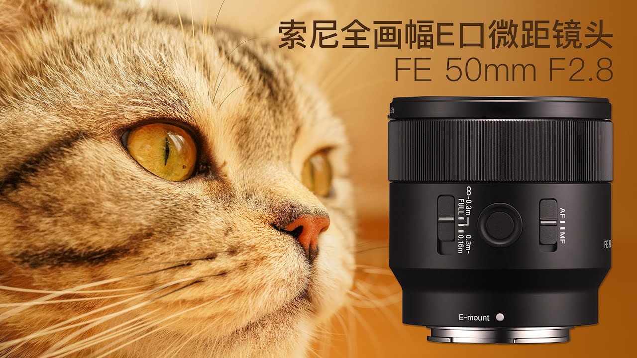 索尼全画幅E卡口微距镜头FE50mm f2.8