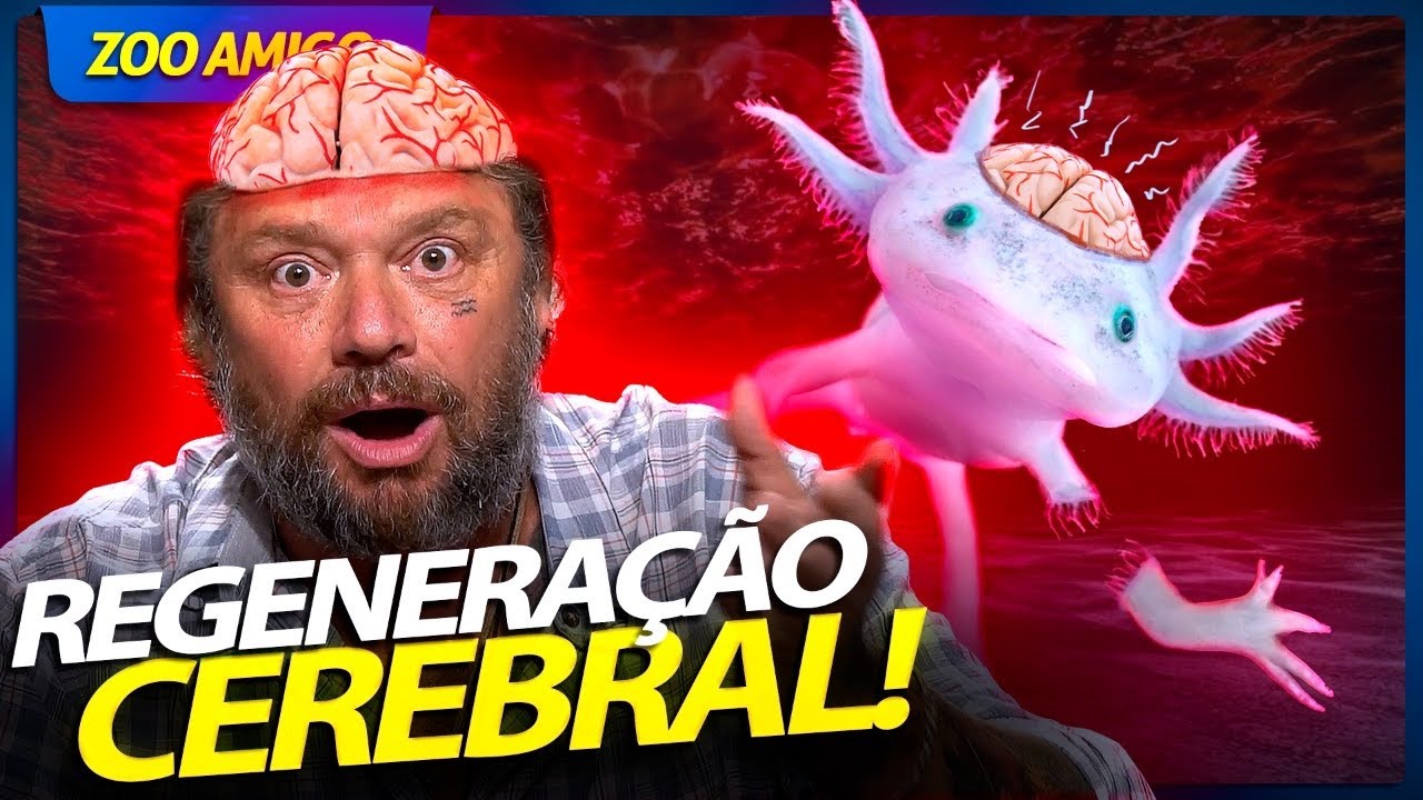 AXOLOTE, ANIMAL ESTRANHO COM HABILIDADES EXTRATERRESTRES! | RICHARD RASMUSSEN