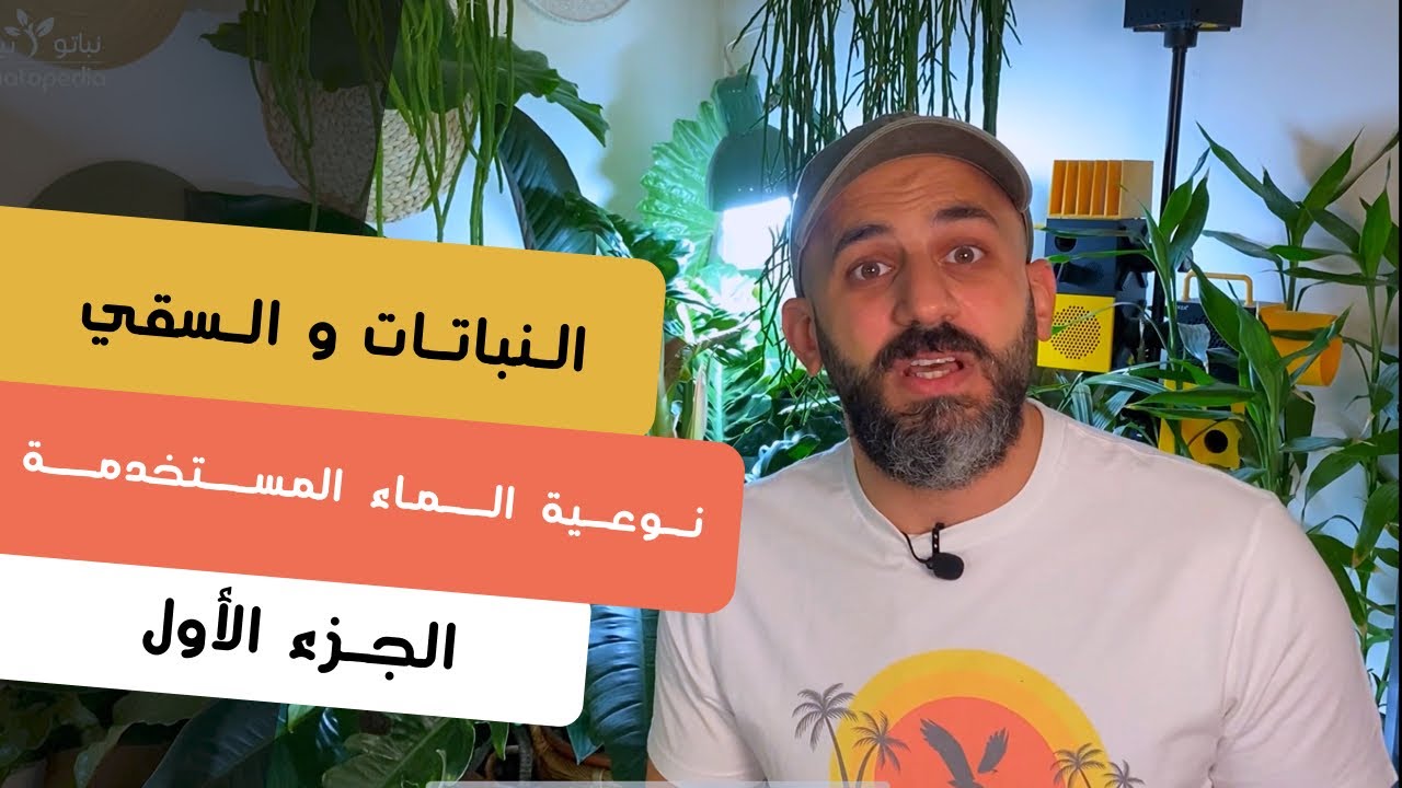 ماذا يحدث عند استخدم ماء الحنفية في سقي النباتات